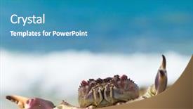  Presentation with anime cute japan cosplay - PPT layouts consisting of coastal threats - pure threat cute animal background and a teal colored foreground