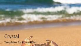  Presentation with active threat - Cool new slide set with coastal threats - pure threat funny crab backdrop and a coral colored foreground