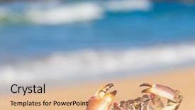  Presentation with eyes - Beautiful slides featuring coastal threats - pure threat menacing eyes backdrop and a coral colored foreground