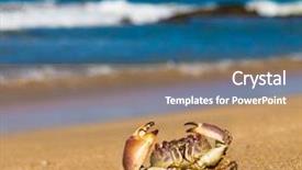  Presentation with seafood - Audience pleasing slides consisting of coastal threats - pure threat seafood posing backdrop and a coral colored foreground