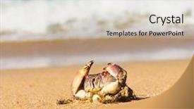  Presentation with alien - Beautiful PPT theme featuring coastal threats - sea alien creature backdrop and a  colored foreground