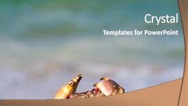  Presentation with burial at sea - PPT layouts consisting of coastal threats - sea funny crab background and a seafoam green colored foreground