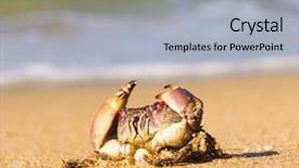  Presentation with alien - Cool new slide deck with coastal threats - seafood posing alien creature backdrop and a  colored foreground