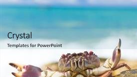  Presentation with alien - Audience pleasing slides consisting of coastal threats - seafood posing alien creature backdrop and a  colored foreground