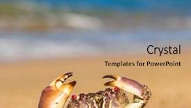  Presentation with blue eyes technology eye scan - Cool new presentation with coastal threats - seafood posing menacing eyes backdrop and a  colored foreground