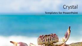  Presentation with seafood - Slides with coastal threats - seafood posing pure threat background and a light blue colored foreground