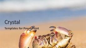  Presentation with alien - Cool new PPT theme with coastal threats - shore alien creature backdrop and a  colored foreground