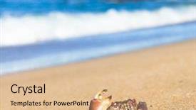  Presentation with anime cute japan cosplay - Cool new slide deck with coastal threats - shore cute animal backdrop and a  colored foreground