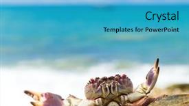  Presentation with active threat - Presentation theme consisting of coastal threats - shore pure threat background and a teal colored foreground