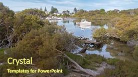  Presentation with butler - PPT layouts having view of bending twisting tree background and a tawny brown colored foreground