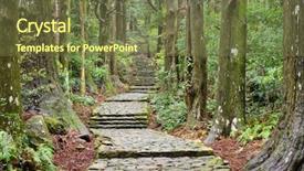  Presentation with world heritage - Presentation design consisting of cobblestone - kumano kodo at daimon-zaka background and a tawny brown colored foreground