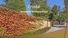  Presentation with wall street - Amazing slides having cobblestone street along brick wall covered with colorful ivy in town of guarene in piedmont northern italy backdrop and a tawny brown colored foreground