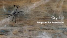  Presentation with spider web - Slide deck consisting of cobweb-or-spider-web background and a gray colored foreground