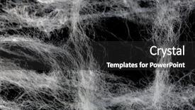  Presentation with designs - Slides featuring cobweb or spider's web background and a dark gray colored foreground