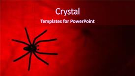  Presentation with spider - Presentation design featuring spidervenom - cobweb with spider on colorful background and a  colored foreground