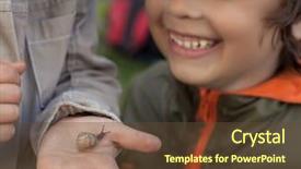  Presentation with snail - PPT theme featuring cochlea - children learn snail focus background and a tawny brown colored foreground