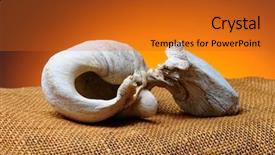  Presentation with whale - Presentation design with red duck is sitting on a tree branch background and a gray colored foreground