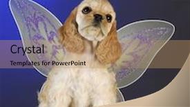  Presentation with angel wings - Cool new slides with spaniel puppy with angel wings backdrop and a coral colored foreground