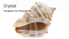  Presentation with moving sea - Colorful PPT theme enhanced with cockleshell photographed in white background backdrop and a white colored foreground