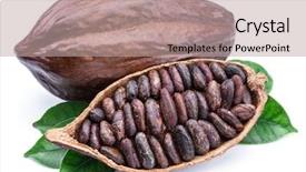 Presentation with cocoa beans - PPT theme enhanced with cocoa beans -chocolate basis background and a mint green colored foreground
