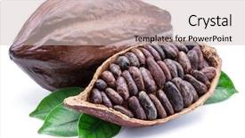  Presentation with cocoa beans - Beautiful slide set featuring cocoa beans -chocolate basis backdrop and a soft green colored foreground
