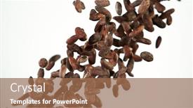  Presentation with cocoa beans - Colorful presentation design enhanced with cocoa-beans-flying backdrop and a coral colored foreground