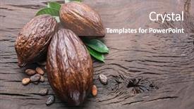  Presentation with cocoa pod - Amazing slide set having cocoa pod and cocoa beans backdrop and a coral colored foreground