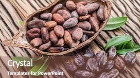  Presentation with cocoa pod - Amazing PPT layouts having cocoa pod and cocoa beans backdrop and a tawny brown colored foreground