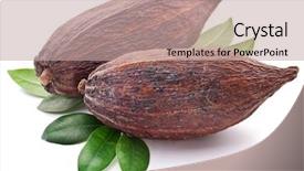  Presentation with cocoa pod - Slide deck featuring cocoa pod on a white background and a mint green colored foreground