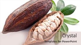  Presentation with cocoa pod - Theme enhanced with cocoa pod on a white background and a coral colored foreground