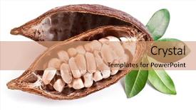  Presentation with cocoa pod - Slide deck enhanced with cocoa pod on a white background and a coral colored foreground