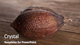  Presentation with cocoa pod - Presentation theme enhanced with cocoa pod on wooden background background and a tawny brown colored foreground