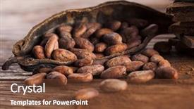  Presentation with cocoa pod - Amazing presentation theme having cocoa pod on wooden background backdrop and a tawny brown colored foreground