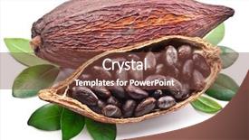  Presentation with food cocoa - Presentation design consisting of cocoa pod with cocoa beans background and a tawny brown colored foreground