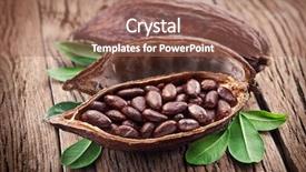  Presentation with cocoa beans - PPT theme having cocoa pod with cocoa beans background and a coral colored foreground