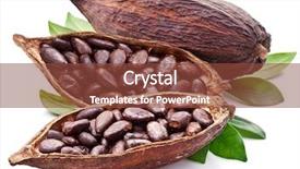  Presentation with cocoa pod - Amazing presentation theme having cocoa pod with cocoa beans backdrop and a tawny brown colored foreground