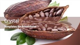  Presentation with cocoa pod - Beautiful slides featuring cocoa pod with cocoa beans backdrop and a tawny brown colored foreground