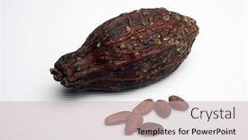  Presentation with cocoa beans - Slides enhanced with cocoa pods and beans background and a soft green colored foreground