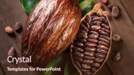  Presentation with cocoa beans - Presentation enhanced with cocoa pods and cocoa beans background and a wine colored foreground