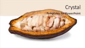  Presentation with cocoa beans - Presentation theme featuring cocoa pods and cocoa beans background and a coral colored foreground