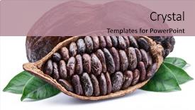  Presentation with cocoa beans - Presentation theme enhanced with cocoa pods and cocoa beans background and a coral colored foreground