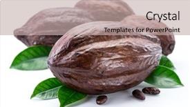  Presentation with isolated fall oak leaf - Presentation theme featuring cocoa pods with cocoa leaves background and a mint green colored foreground