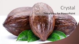  Presentation with cocoa - Presentation theme having cocoa-pods-with-cocoa-leaves background and a light gray colored foreground