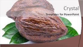  Presentation with cocoa - Slide set with cocoa-pods-with-cocoa-leaves background and a light gray colored foreground