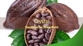  Presentation with cocoa beans - Presentation theme with cocoa-pods-with-cocoa-leaves background and a tawny brown colored foreground