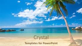  Presentation with beach palm tree wedding - Colorful slide set enhanced with coconat-palm-on-sai-nuan backdrop and a lemonade colored foreground