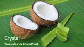  Presentation with aloe vera gel - PPT theme consisting of coconut and aloe vera alternative background and a forest green colored foreground