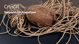  Presentation with coconut - Slide set with coconut-and-coconut-rope background and a tawny brown colored foreground