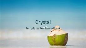  Presentation with green coconut - Theme featuring coconut at the beach background and a light blue colored foreground