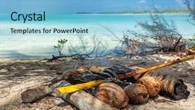  Presentation with food bbq - Audience pleasing presentation consisting of grilled fish on coconut charcoal backdrop and a light blue colored foreground